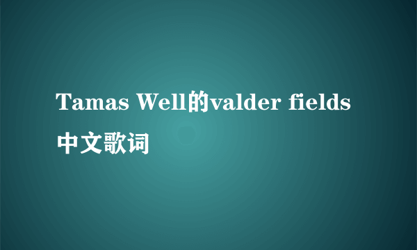 Tamas Well的valder fields中文歌词