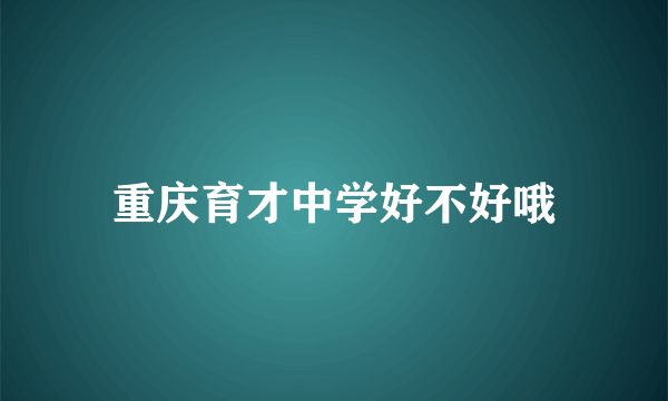 重庆育才中学好不好哦