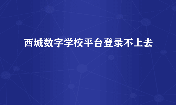 西城数字学校平台登录不上去