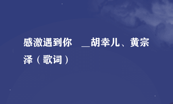 感激遇到你   ＿胡幸儿、黄宗泽（歌词）