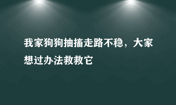 我家狗狗抽搐走路不稳，大家想过办法救救它