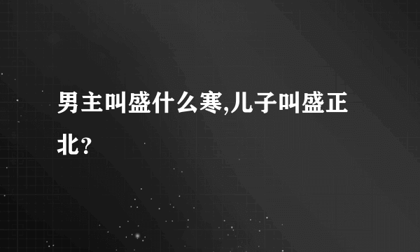 男主叫盛什么寒,儿子叫盛正北？