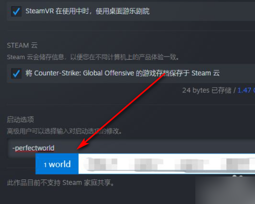 《csgo》国际服启动项是什么？