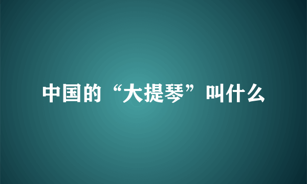 中国的“大提琴”叫什么