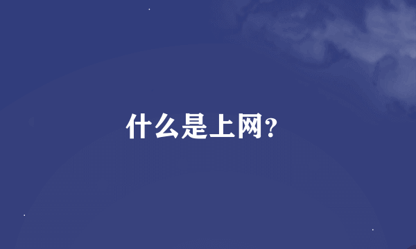 什么是上网？