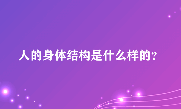 人的身体结构是什么样的？