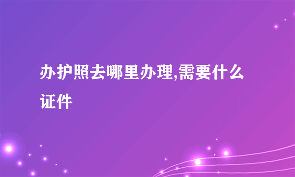 办护照去哪里办理,需要什么证件