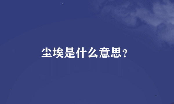 尘埃是什么意思？