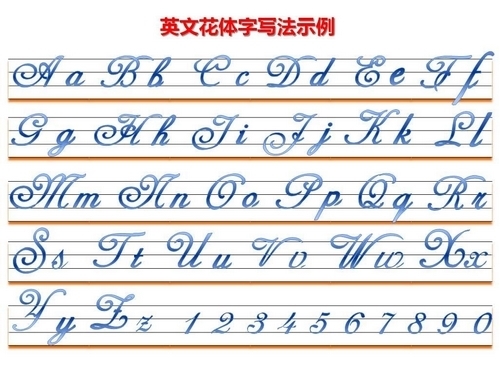 26个英文字母花体和圆体写法