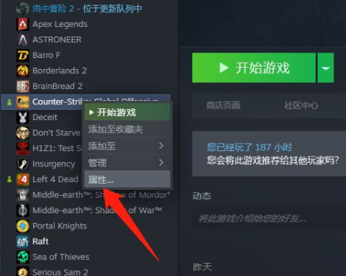 《csgo》国际服启动项是什么？