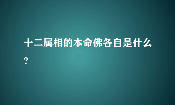 十二属相的本命佛各自是什么？