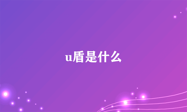 u盾是什么