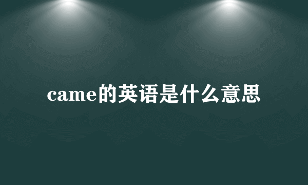 came的英语是什么意思