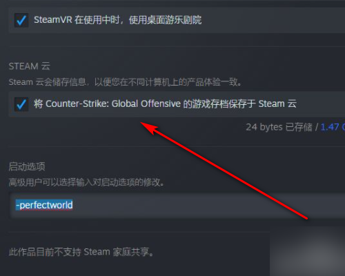 《csgo》国际服启动项是什么？