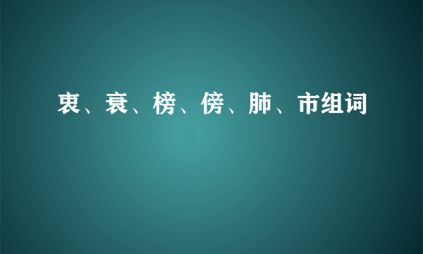 衷、衰、榜、傍、肺、市组词