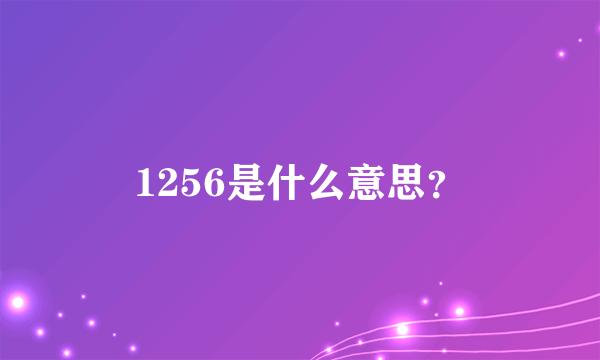 1256是什么意思？