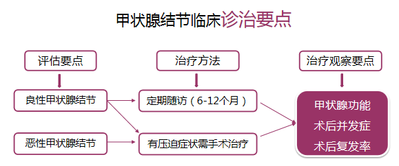 甲状腺结节吃什么中药最好散结的