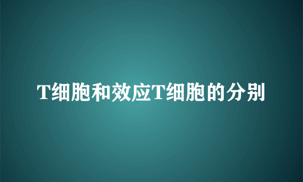 T细胞和效应T细胞的分别