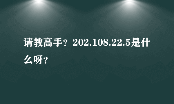 请教高手？202.108.22.5是什么呀？