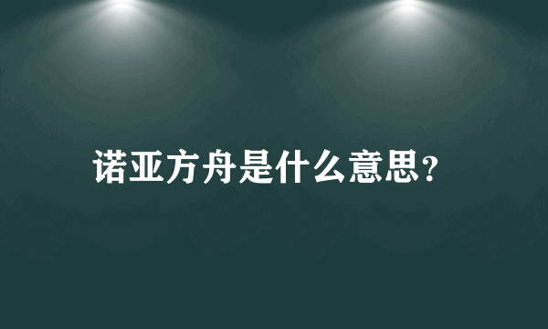 诺亚方舟是什么意思？