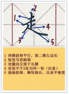 走之旁的字有哪些