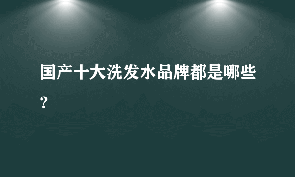 国产十大洗发水品牌都是哪些？