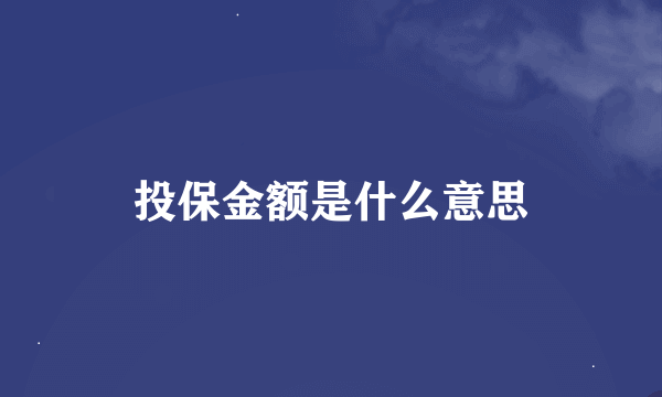 投保金额是什么意思