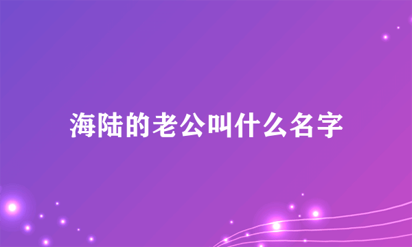 海陆的老公叫什么名字