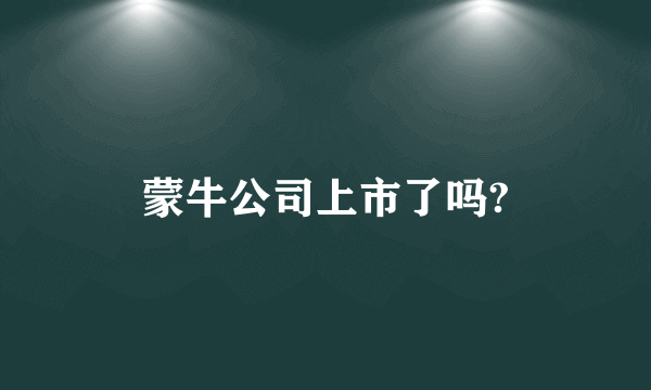 蒙牛公司上市了吗?