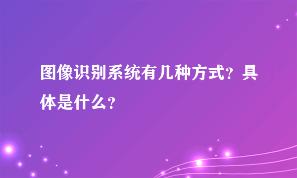 图像识别系统有几种方式？具体是什么？