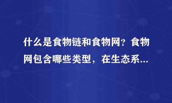 什么是食物链和食物网？食物网包含哪些类型，在生态系统中有何意义