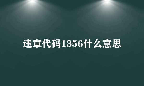 违章代码1356什么意思