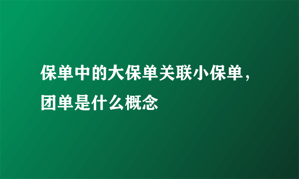 保单中的大保单关联小保单，团单是什么概念