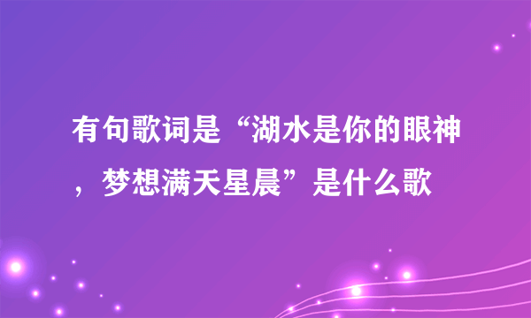 有句歌词是“湖水是你的眼神，梦想满天星晨”是什么歌