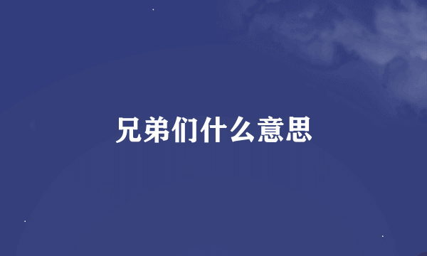 兄弟们什么意思