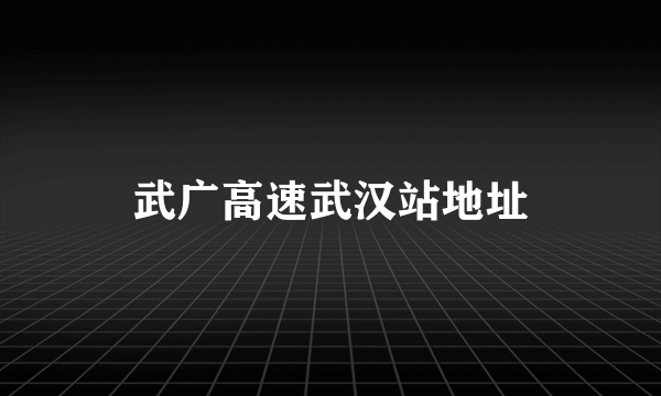 武广高速武汉站地址