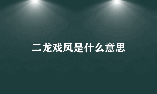 二龙戏凤是什么意思