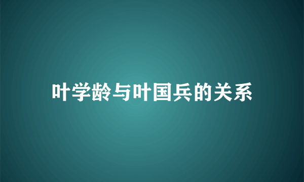 叶学龄与叶国兵的关系