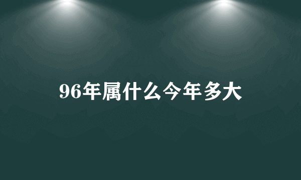 96年属什么今年多大