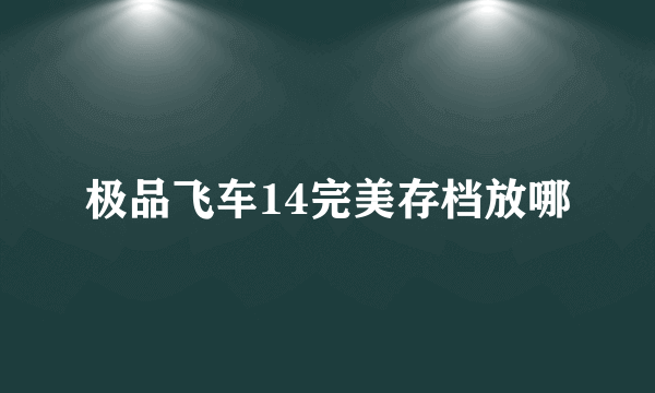 极品飞车14完美存档放哪