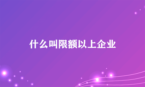 什么叫限额以上企业