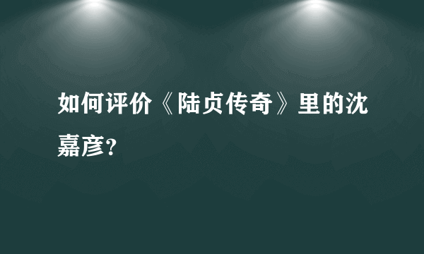 如何评价《陆贞传奇》里的沈嘉彦？