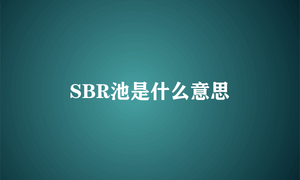 SBR池是什么意思