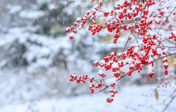 瑞雪兆丰年什么意思