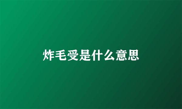 炸毛受是什么意思