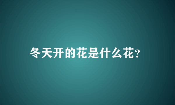 冬天开的花是什么花？