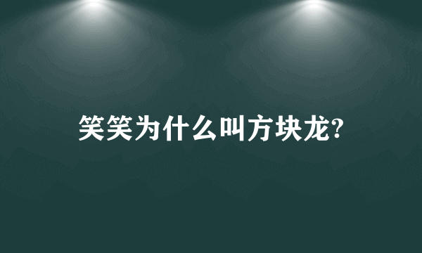 笑笑为什么叫方块龙?