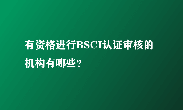 有资格进行BSCI认证审核的机构有哪些？