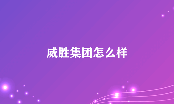 威胜集团怎么样