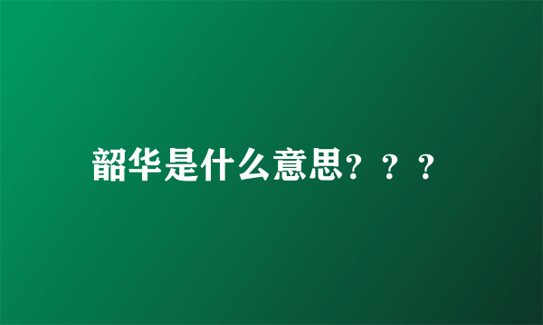 韶华是什么意思？？？